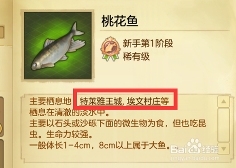 冒险岛2可以钓到什么[图2]