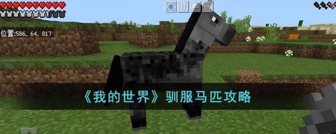 我的世界里马怎么驯服[图1]