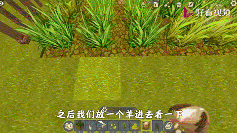 迷你世界怎么刷植物[图1]