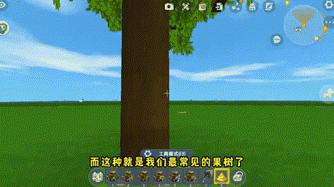 迷你世界果树怎么种[图1]