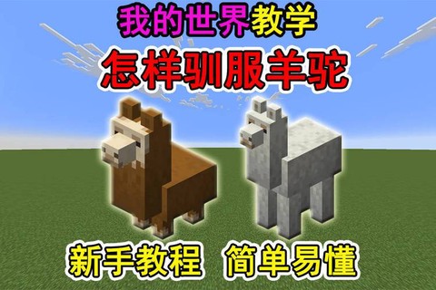 我的世界羊驼怎么走[图2]