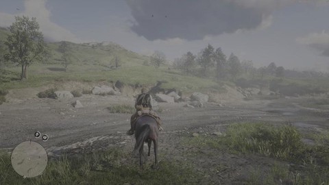 荒野大镖客如何看帧率