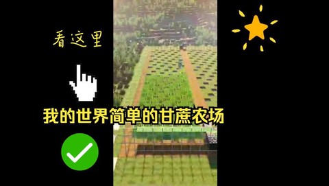 我的世界怎么种植甘蔗