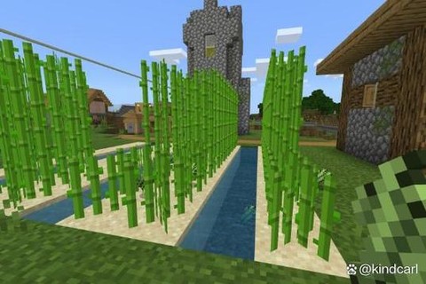 我的世界怎么种植甘蔗[图1]