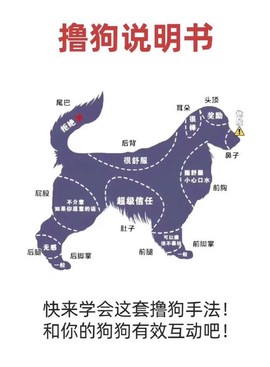 玩吧狼人杀如何摸狗[图1]